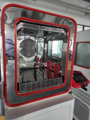 Camera di prova termometrica e iggrometrica della serie DTLH programmabile per esigenze personalizzate